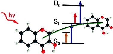 Graphical abstract: A combined IR/IR and IR/UV spectroscopy study on the proton transfer coordinate of isolated 3-hydroxychromone in the electronic ground and excited state