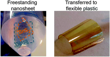 Graphical abstract: Fine tunable aqueous solution synthesis of textured flexible SnS2 thin films and nanosheets