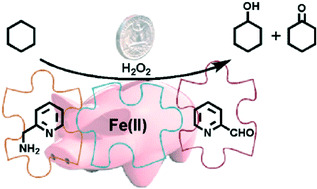 Graphical abstract: Hydrocarbon oxidation catalyzed by a cheap nonheme imine-based iron(ii) complex