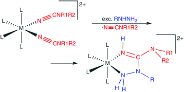 Graphical abstract: Preparation and reactivity towards hydrazines of bis(cyanamide) and bis(cyanoguanidine) complexes of the iron triad