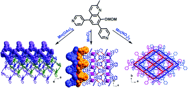 Graphical abstract: Three Mn(ii) coordination polymers with a bispyridyl-based quinolinate ligand: the anion-controlled tunable structural and magnetic properties