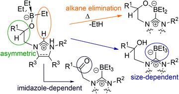 Graphical abstract: Protonolysis and thermolysis reactions of functionalised NHC–carbene boranes and borates