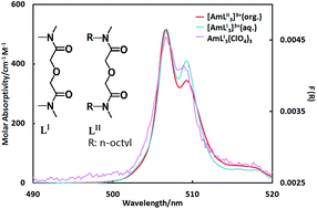 Graphical abstract: A structural and spectrophotometric study on the complexation of Am(iii) with TMOGA in comparison with the extracted complex of DMDOOGA