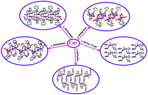 Graphical abstract: Controlling the self-assembly of homochiral coordination architectures of CuII by substitution in amino acid based ligands: synthesis, crystal structures and physicochemical properties
