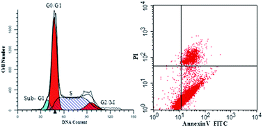 Graphical abstract: Differential effects of lipid fractions from silver carp brain on human cervical carcinoma cells in vitro