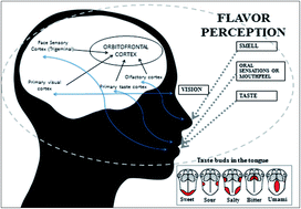 Graphical abstract: Sensory attributes of soft drinks and their influence on consumers' preferences