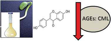 Graphical abstract: Glycation is regulated by isoflavones