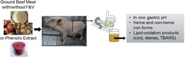 Graphical abstract: Fruits, vegetables and their polyphenols protect dietary lipids from oxidation during gastric digestion
