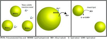 Graphical abstract: Development of food-grade nanoemulsions and emulsions for delivery of omega-3 fatty acids: opportunities and obstacles in the food industry
