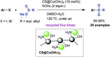 Graphical abstract: A highly active and easily recoverable chitosan@copper catalyst for the C–S coupling and its application in the synthesis of zolimidine