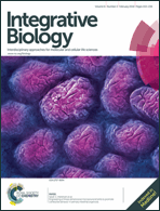 Graphical abstract: Front cover