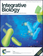 Graphical abstract: Inside front cover