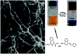 Graphical abstract: Self-assembly of azobenzene-based two-component gels