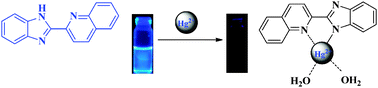 Graphical abstract: Highly selective and effective mercury(ii) fluorescent sensors