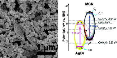 Graphical abstract: The preparation and properties of a g-C3N4/AgBr nanocomposite photocatalyst based on protonation pretreatment