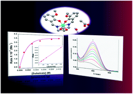 Graphical abstract: A mononuclear cobalt(iii) complex and its catecholase activity