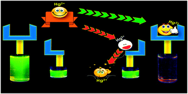 Graphical abstract: Triazole-appended BODIPY–piperazine conjugates and their efficacy toward mercury sensing