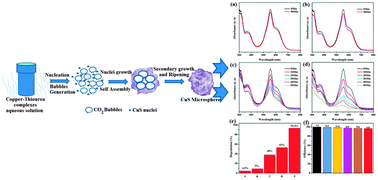 Graphical abstract: Synthesis of CuS flowers exhibiting versatile photo-catalyst response