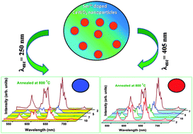Graphical abstract: Color tuning in thermally stable Sm3+-activated CaWO4 nanophosphors