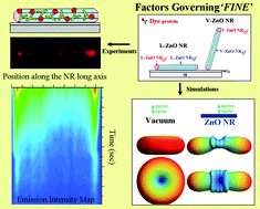 Graphical abstract: Insight into factors affecting the presence, degree, and temporal stability of fluorescence intensification on ZnO nanorod ends