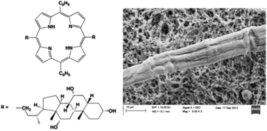 Graphical abstract: Tuning the chiroptical and morphological properties of steroidal-porphyrin aggregates: a mechanistic, structural, and MM investigation