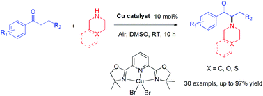 Graphical abstract: Synthesis and characterization of bisoxazolines- and pybox-copper(ii) complexes and their application in the coupling of α-carbonyls with functionalized amines