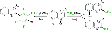Graphical abstract: Synthetic and mechanistic aspects of the regioselective base-mediated reaction of perfluoroalkyl- and perfluoroarylsilanes with heterocyclic N-oxides