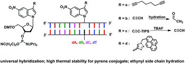 Graphical abstract: 5-Nitroindole oligonucleotides with alkynyl side chains: universal base pairing, triple bond hydration and properties of pyrene “click” adducts