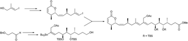 Graphical abstract: Synthesis of fully functionalized aglycone of lycoperdinoside A and B