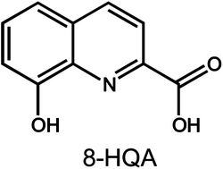 Graphical abstract: Biosynthesis of 8-hydroxyquinoline-2-carboxylic acid, an iron chelator from the gut of the lepidopteran Spodoptera littoralis