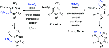 Graphical abstract: Development of an efficient route to CF3-substituted pyrrolopyrimidines through understanding the competition between Michael and aza-Henry reactions