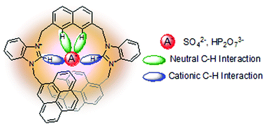 Graphical abstract: A case of oxoanion recognition based on combined cationic and neutral C–H hydrogen bond interactions