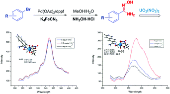 Graphical abstract: “One-pot” synthesis of amidoxime via Pd-catalyzed cyanation and amidoximation