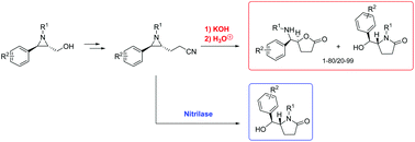 Graphical abstract: Synthesis of 2-aryl-3-(2-cyanoethyl)aziridines and their chemical and enzymatic hydrolysis towards γ-lactams and γ-lactones