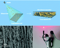 Graphical abstract: Entrapping electrode materials within ultrathin carbon nanotube network for flexible thin film lithium ion batteries