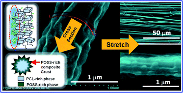 Graphical abstract: Electrospun hybrid fibers with substantial filler contents formed through kinetically arrested phase separation in liquid jet