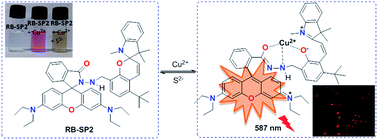 Graphical abstract: A highly selective and reversible fluorescent Cu2+ and S2− probe under physiological conditions and in live cells