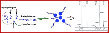 Graphical abstract: Intermolecular interactions of CTAB and potential oxidation inhibitors: physico-chemical controlled approach for food/pharmaceutical function