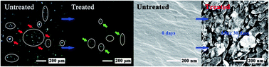 Graphical abstract: Thermocatalytic degradation of low density polyethylene films by responding to the actuation of heat