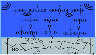 Graphical abstract: Improvement of wood properties by impregnation with TiO2 via ultrasonic-assisted sol–gel process