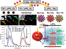 Graphical abstract: Morphology and dopant-dependent optical characteristics of novel composite 1D and 3D-based heterostructures of CdSe nanocrystals and LaPO4:Re (Re = Eu, Ce, Tb) metal phosphate nanowires
