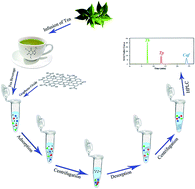 Graphical abstract: Simultaneous determination of theophylline, theobromine and caffeine in different tea beverages by graphene-oxide based ultrasonic-assisted dispersive micro solid-phase extraction combined with HPLC-UV