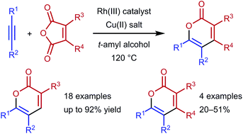 Graphical abstract: Rhodium(iii)-catalysed decarbonylative coupling of maleic anhydrides with alkynes