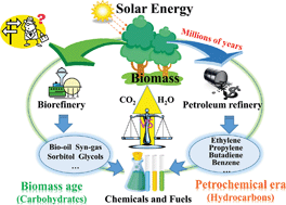 Graphical abstract: Recent advances in the production of polyols from lignocellulosic biomass and biomass-derived compounds