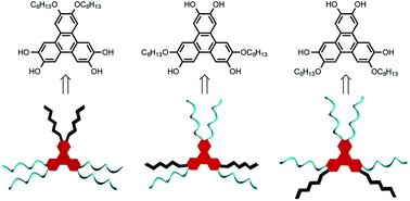 Graphical abstract: Rational synthesis of bis(hexyloxy)-tetra(hydroxy)-triphenylenes and their derivatives