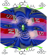 Graphical abstract: Sulfamic acid supported on Fe3O4@SiO2 superpara magnetic nanoparticles as a recyclable heterogeneous catalyst for the synthesis of quinolines