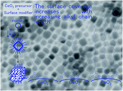 Graphical abstract: Synthesis of monocarboxylic acid-modified CeO2 nanoparticles using supercritical water