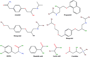 Graphical abstract: Indirect chiral ligand exchange chromatography for enantioseparation: a modification of conventional techniques