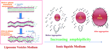 Graphical abstract: Thermodynamics and kinetic investigation of electron transfer reactions of surfactant cobalt(iii) complexes containing diimine ligands with iron(ii) in the presence of liposome vesicles and amphiphilic salt media