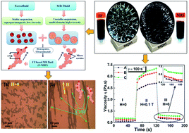 Graphical abstract: Improved properties of bidispersed magnetorheological fluids